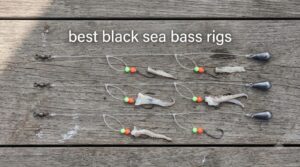 best black sea bass rigs