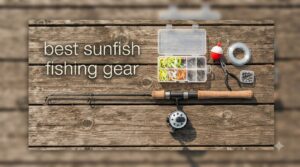 best sunfish fishing gear