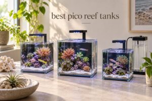 best pico reef tanks