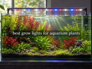 best grow lights for aquarium plants