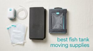 best fish tank moving supplies