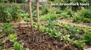 best broadfork tools