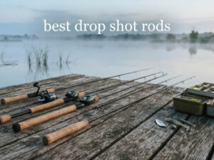 best drop shot rods