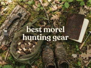 best morel hunting gear
