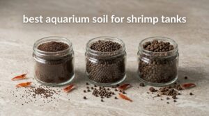 best aquarium soil for shrimp tanks