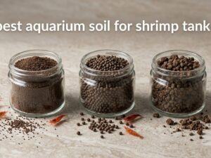 best aquarium soil for shrimp tanks