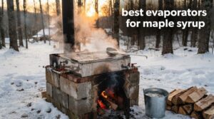 best evaporators for maple syrup