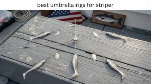 best umbrella rigs for striper