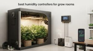 best humidity controllers for grow rooms
