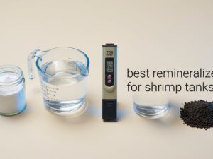 best remineralizers for shrimp tanks