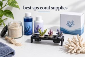 best sps coral supplies