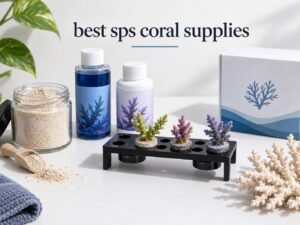 best sps coral supplies