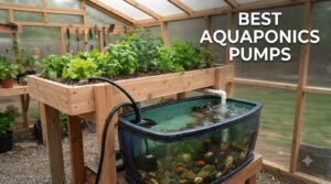 best aquaponics pumps