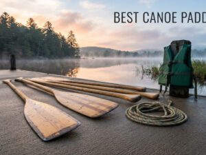 best canoe paddles