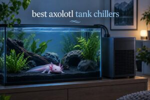 best axolotl tank chillers