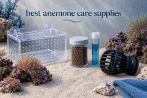 best anemone care supplies