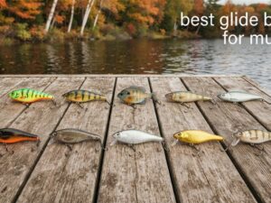 best glide baits for musky