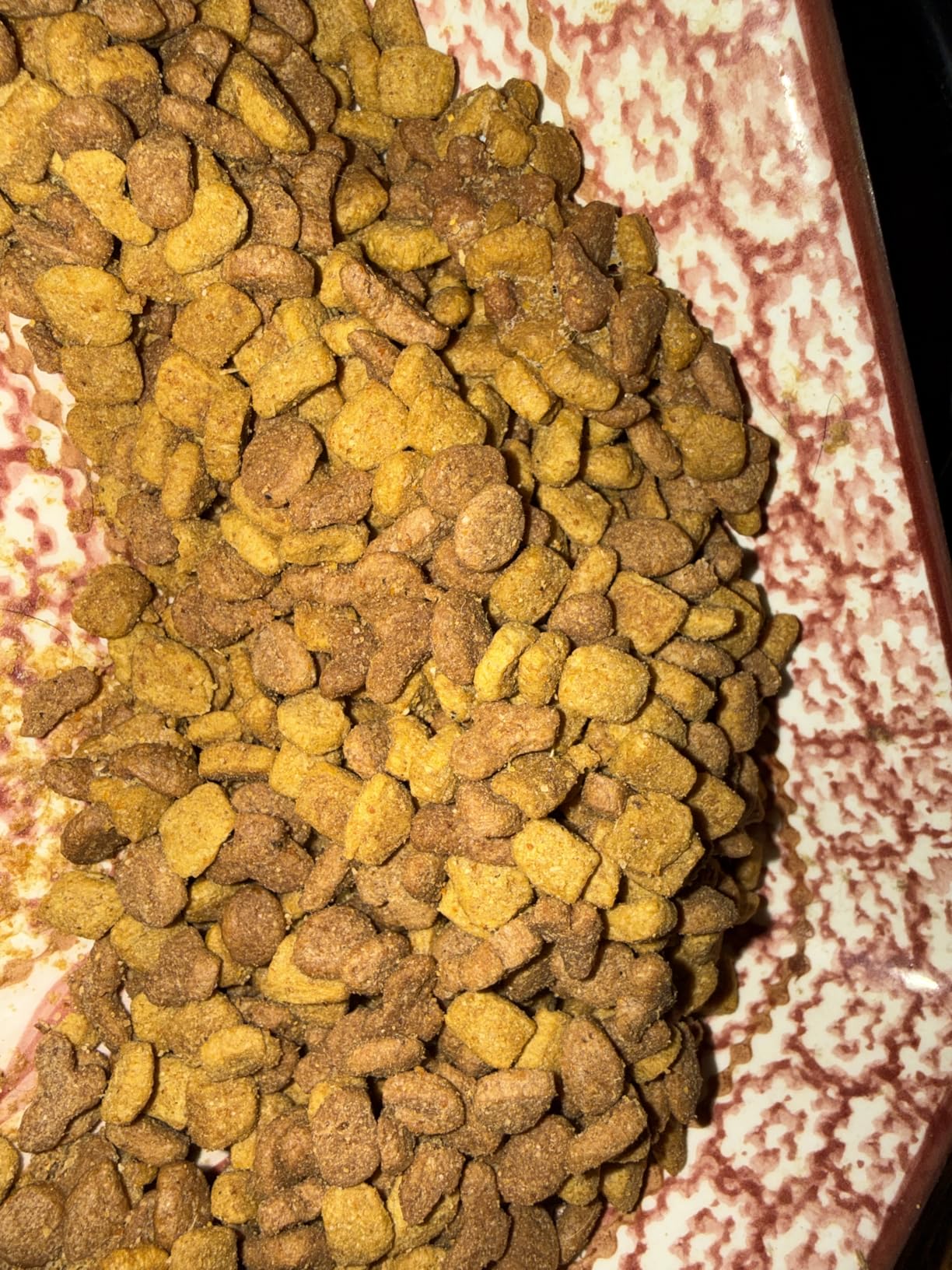 Purina ONE +Plus Sensitive Stomach Sensitive Skin, Natural Dry Cat Food customer photo 2