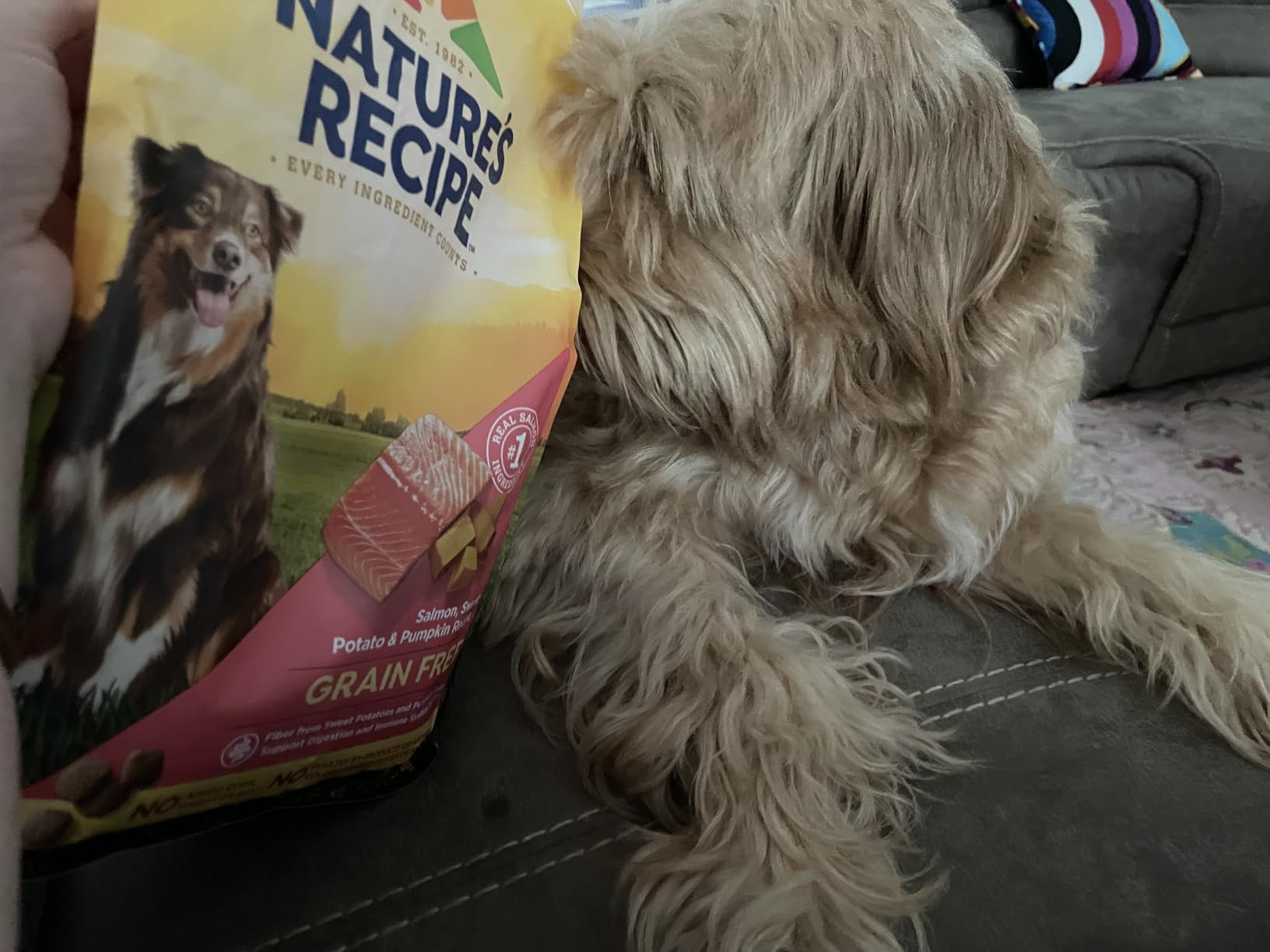 Nature's Recipe Grain Free Salmon Dry Dog Food, 4 lb. Bag customer photo 2