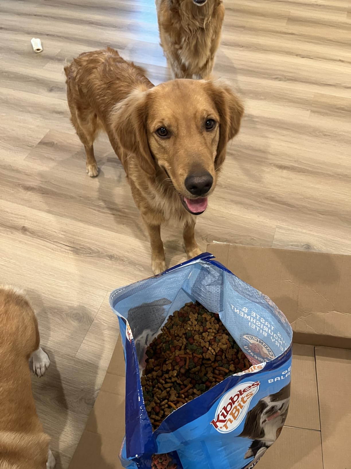 Kibbles 'n Bits Original Savory Beef & Chicken Flavor Dry Dog Food, 31 Pound Bag customer photo 1