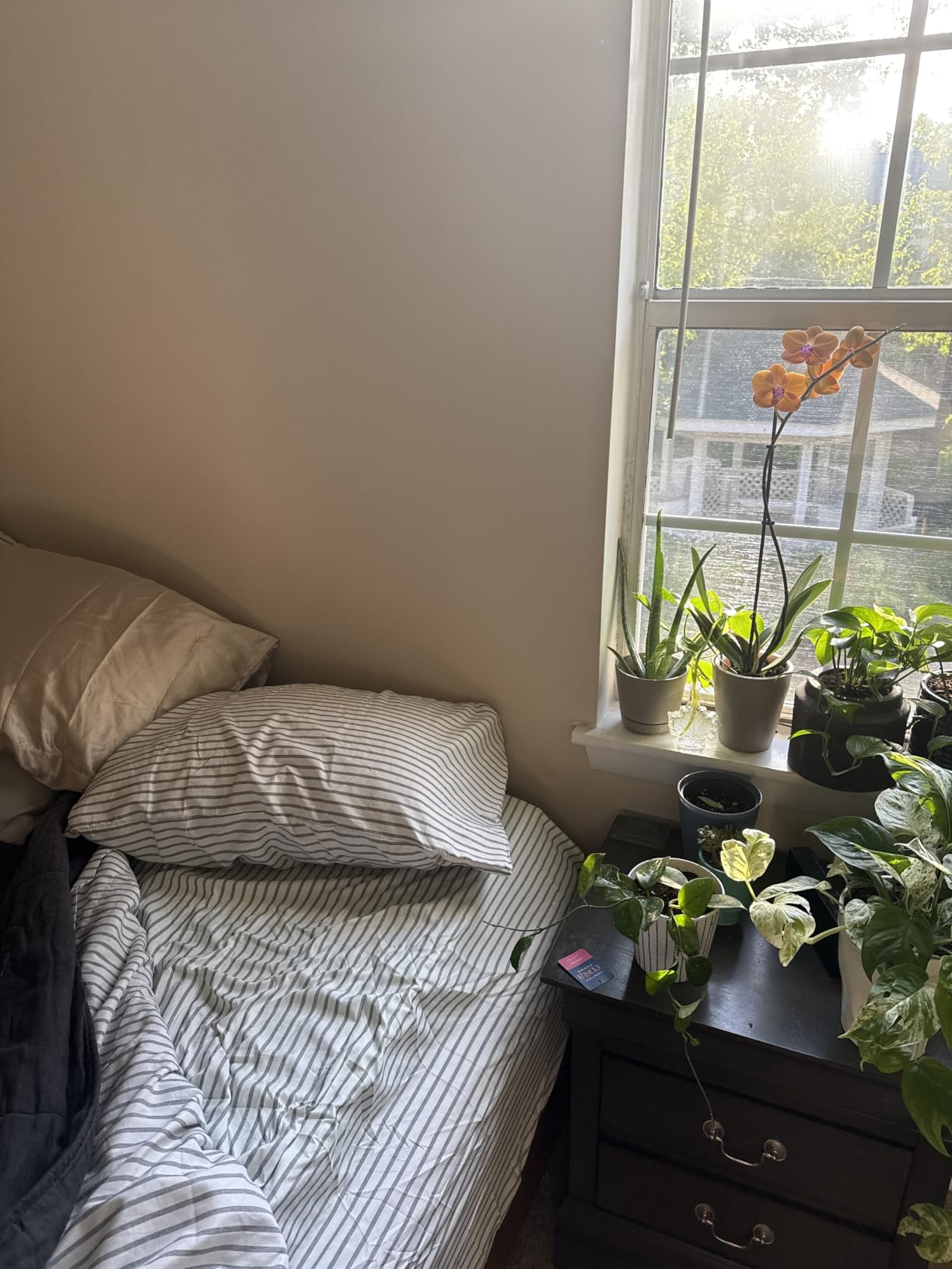 Twin XL 3 Piece Sheet Set - College Dorm Room Essentials - White customer photo 2