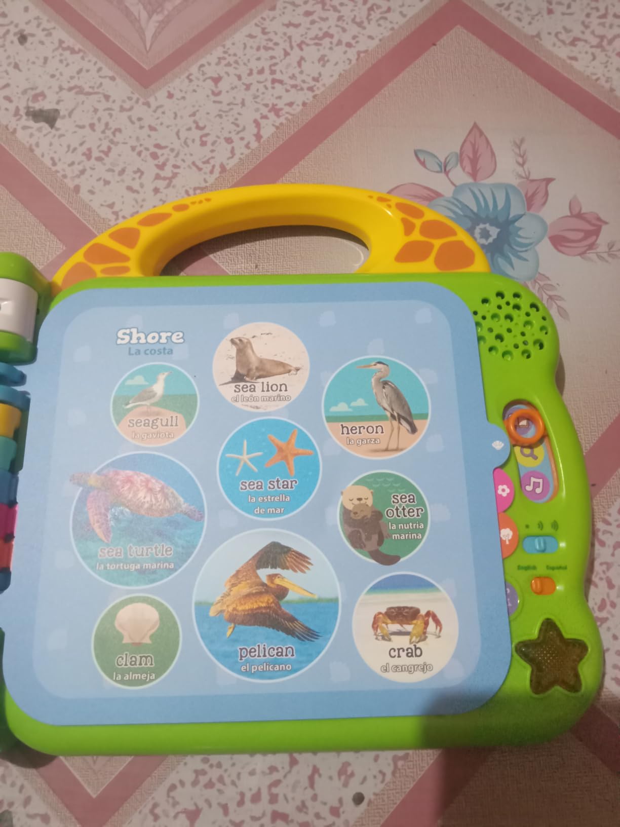 LeapFrog Learning Friends 100 Words Book customer photo 1