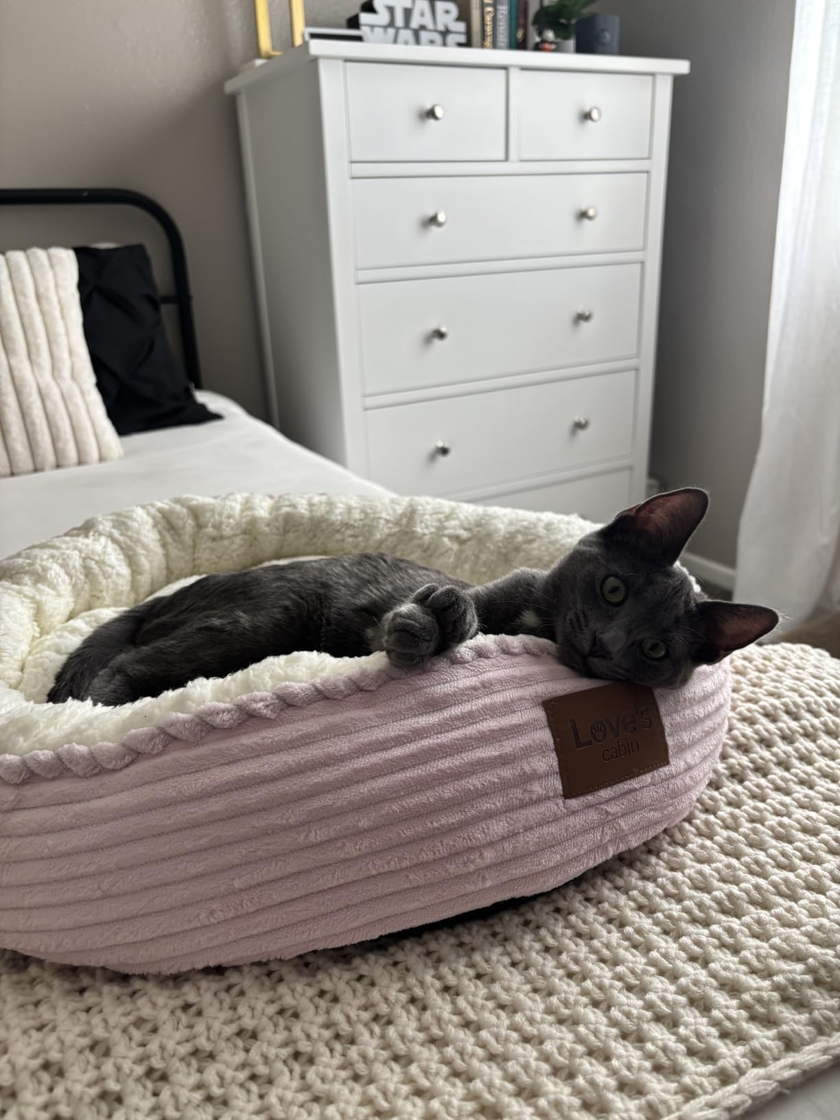 Love's cabin Round Donut Cat and Dog Cushion Bed, 20in Bed for Cats or Small Dogs, Anti-Slip & Water-Resistant Bottom, Super Soft Durable Fabric Pet Beds, Washable Luxury Cat & Dog Bed Gray customer photo 1
