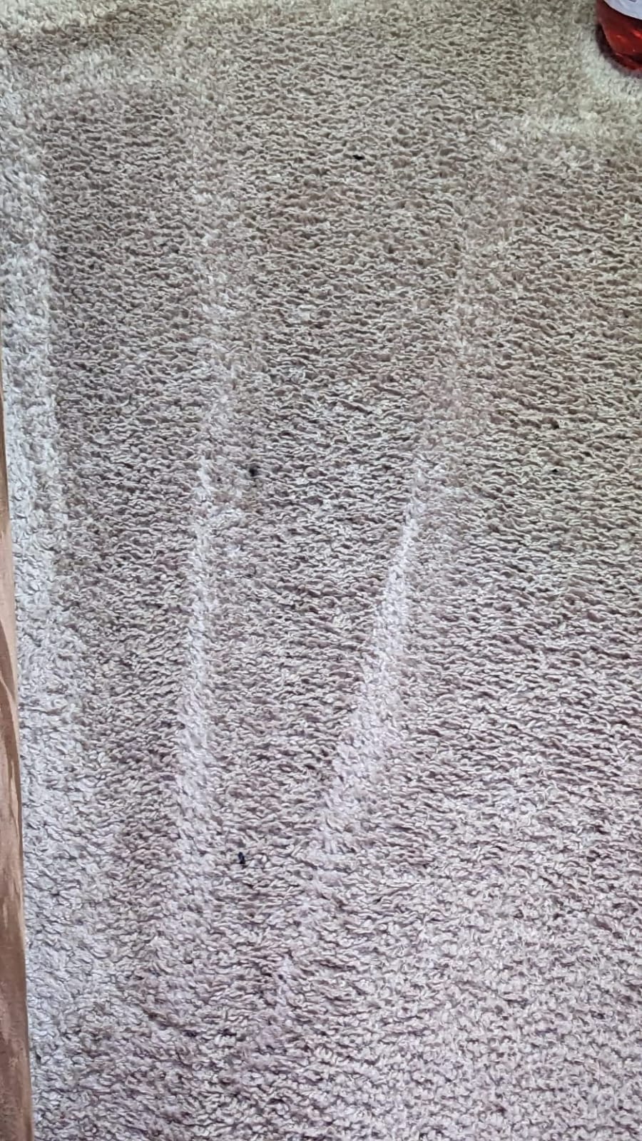 Bissell ProHeat 2X Revolution Pet Full Size Upright Carpet Cleaner, 1548F, Orange customer photo 1