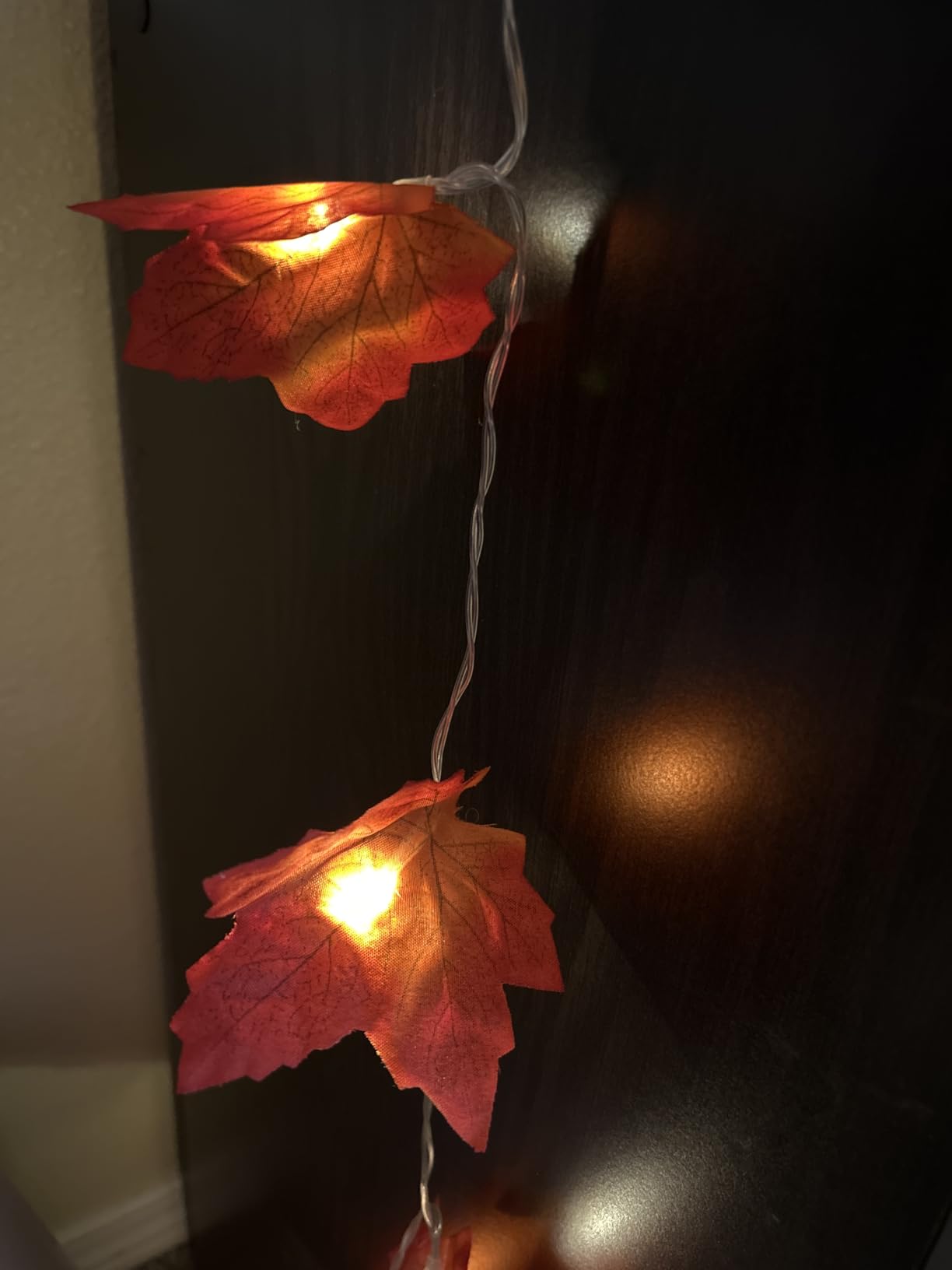 Fall Decor 2 Pack Fall Garland with Lights Enlarged Maple Leaves 20Ft 40LED customer photo 1