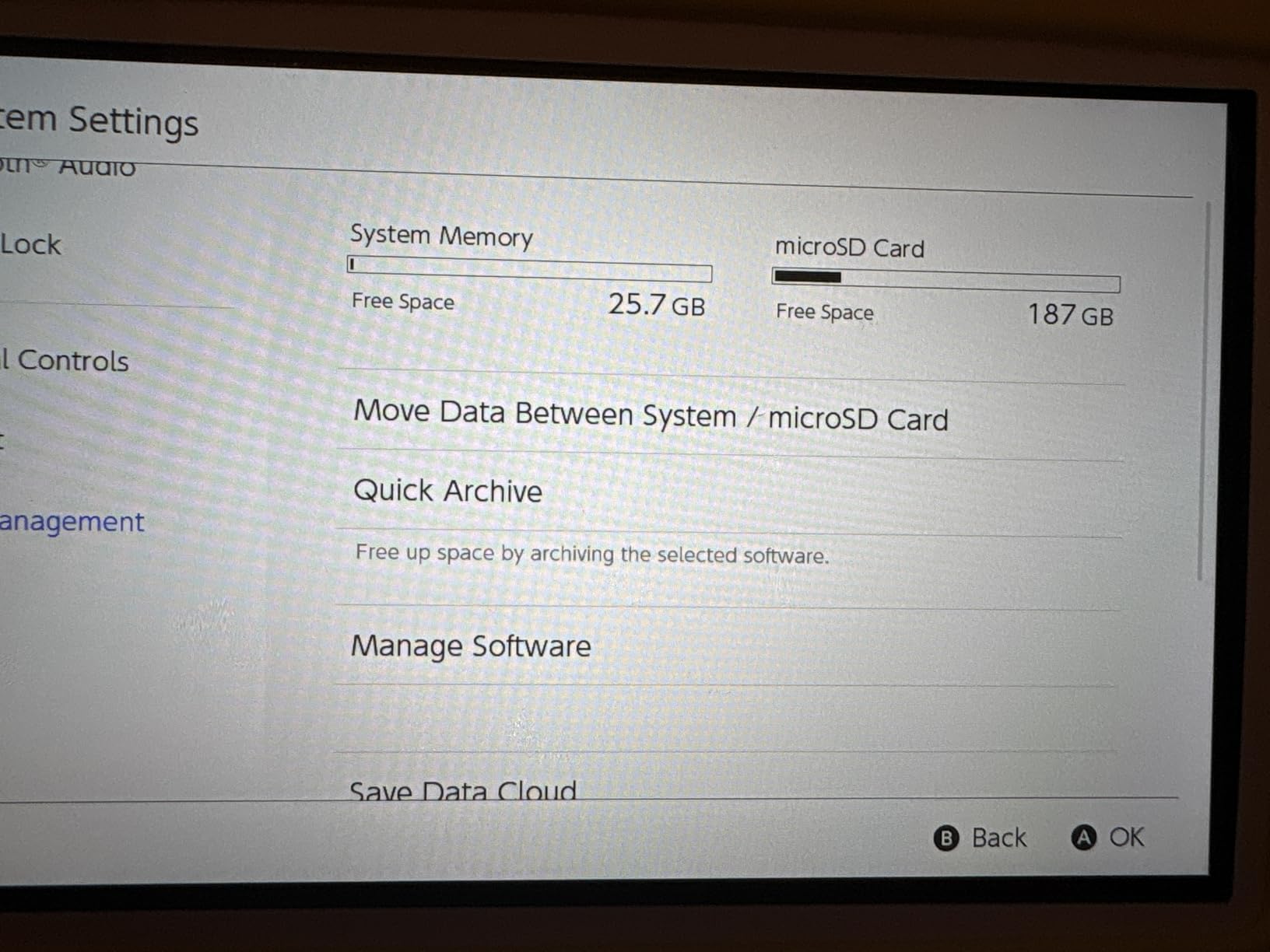 Silicon Power 256GB Micro SD Card U3 SDXC Up to 100MB/s High Speed Memory Card with Adapter for Nintendo-Switch, Cams and Drones customer photo 2