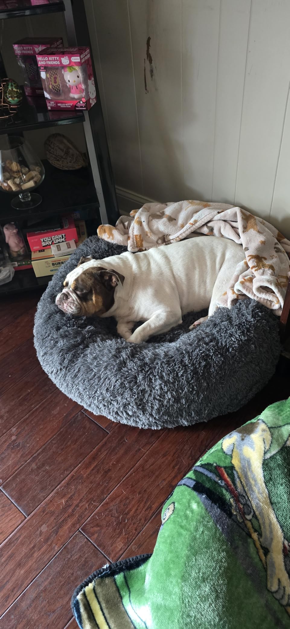 Bedsure Calming Small Dog Bed Donut Washable Cat＆Puppy Bed,23 inches Camel customer photo 2