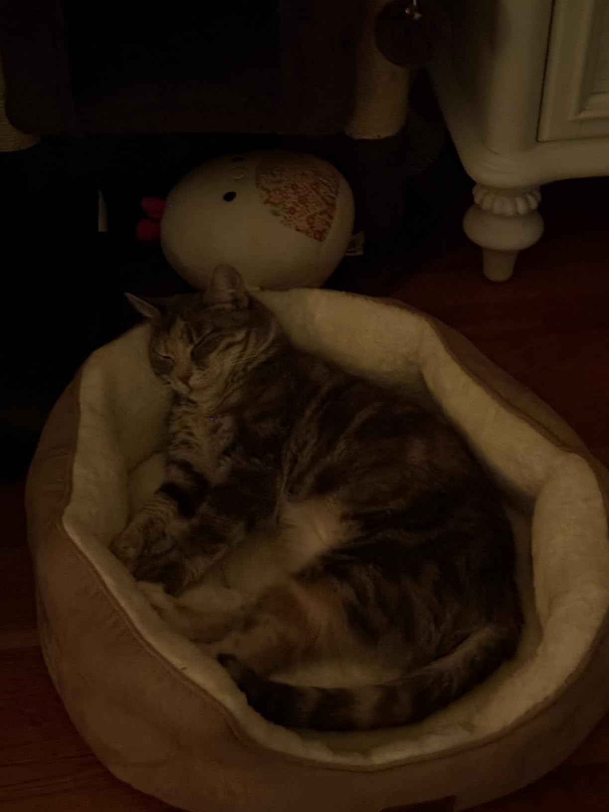 Bedsure Small Dog Bed Washable,Round Cat Beds for Indoor Cats,20in Camel customer photo 1