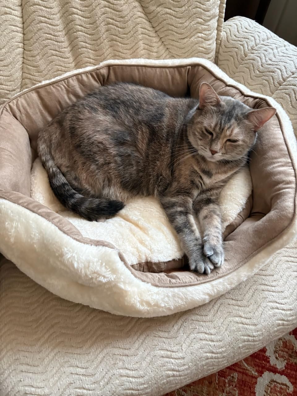 Bedsure Small Dog Bed Washable,Round Cat Beds for Indoor Cats,20in Camel customer photo 2