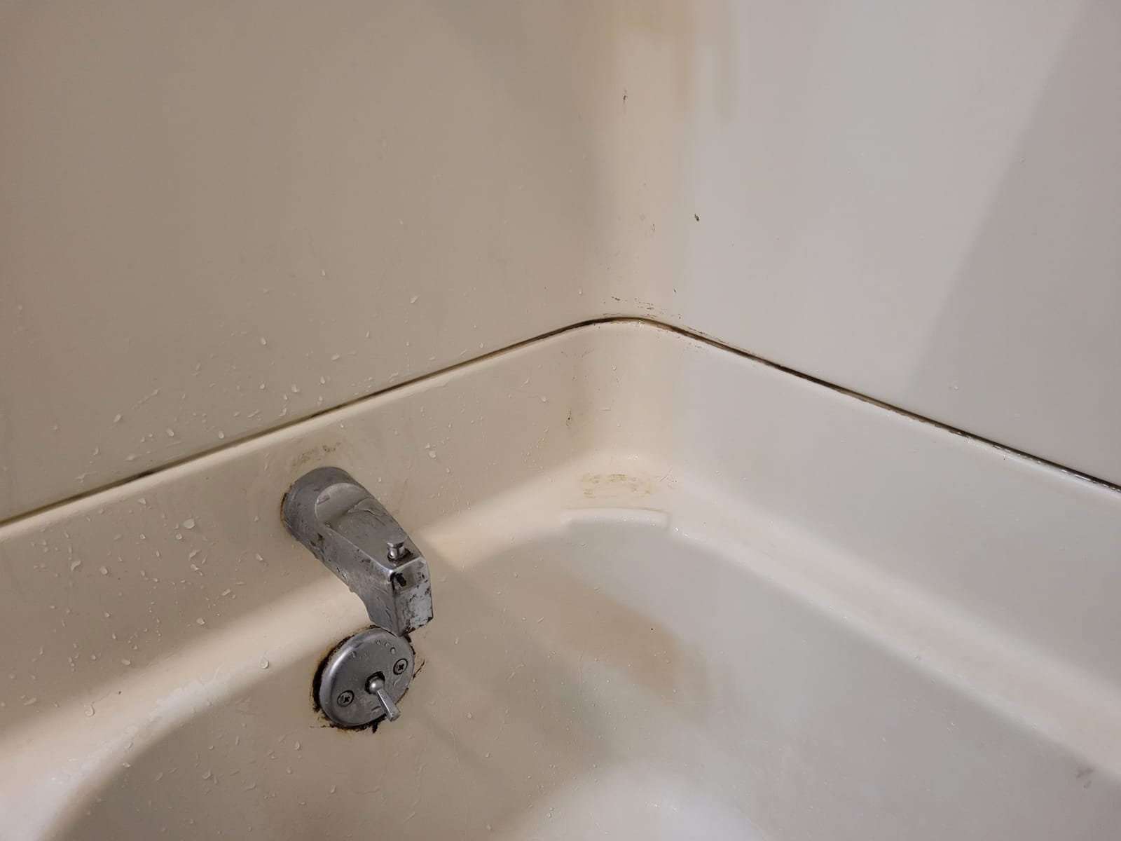Hoover Steam Complete Pet Steam Mop, Hard Floor Cleaner Machine customer photo 1