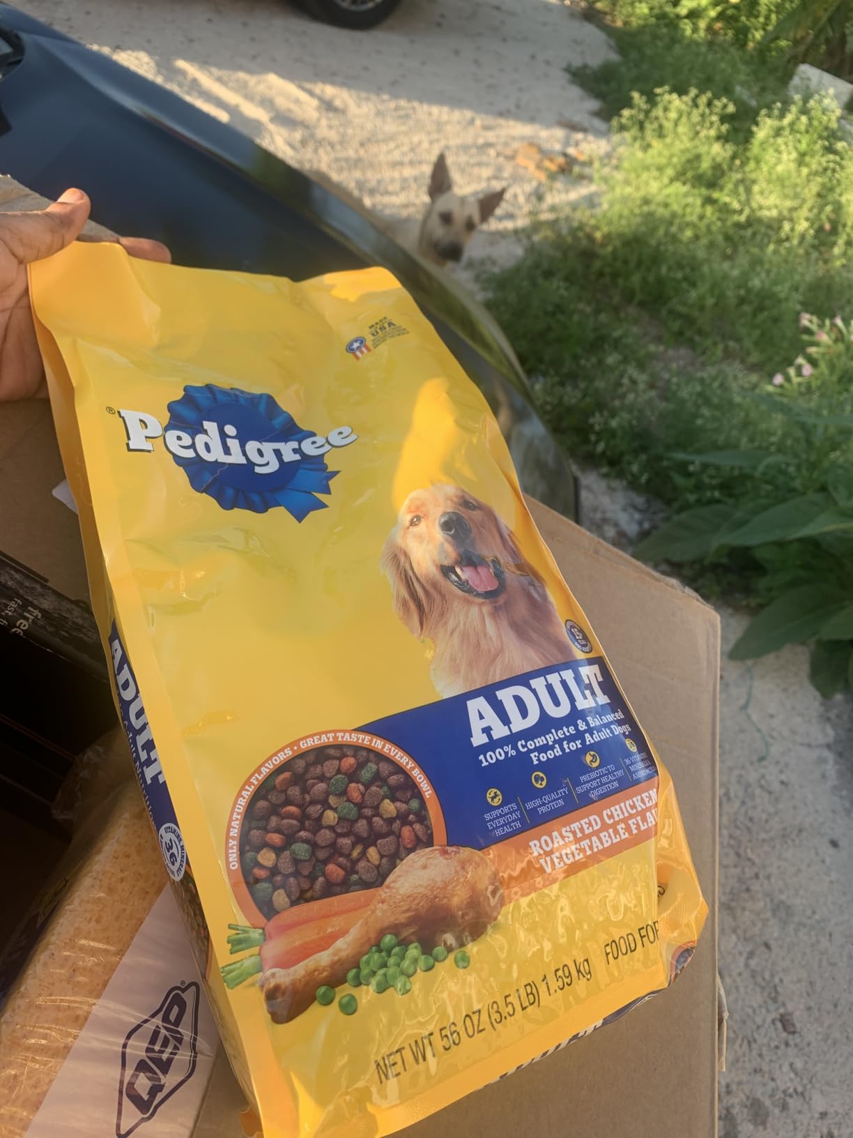 Pedigree Adult Complete Nutrition Dry Dog Food, Chicken & Vegetable, 18 lb customer photo 2
