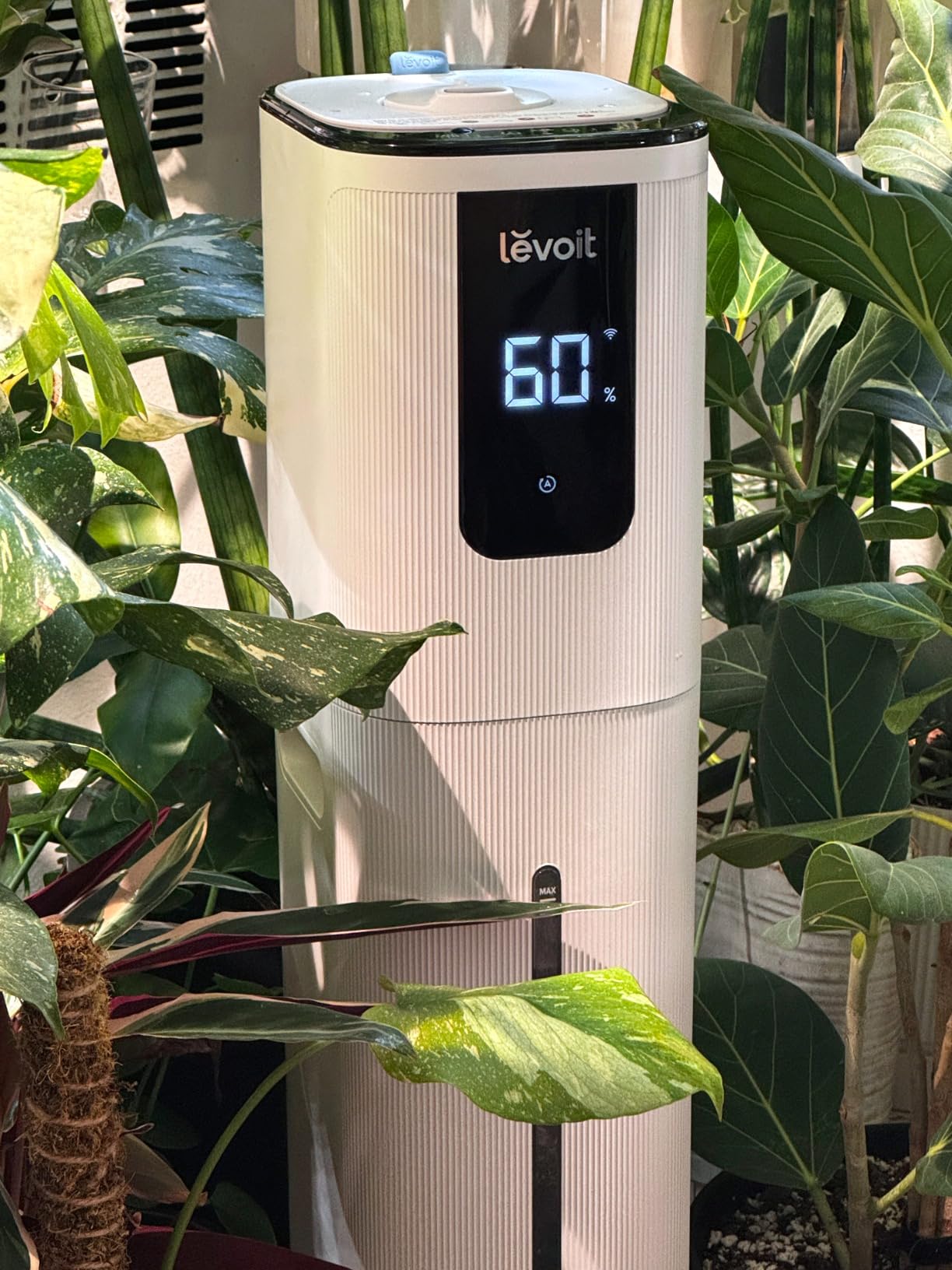 Levoit OasisMist 1000S (10L) Smart Humidifier for Home Large Room Bedroom customer photo 1