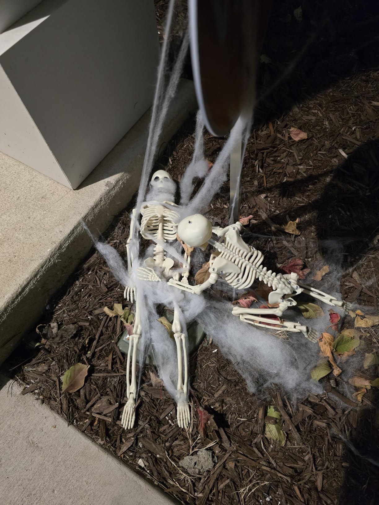 Happy Hippo Halloween Spider Web Decoration, 200 Square Feet & Plastic Spiders, Halloween Party Supplies, Spider Webs (Small, 200 Sq Feet) (8 Fake Spiders Included) customer photo 2