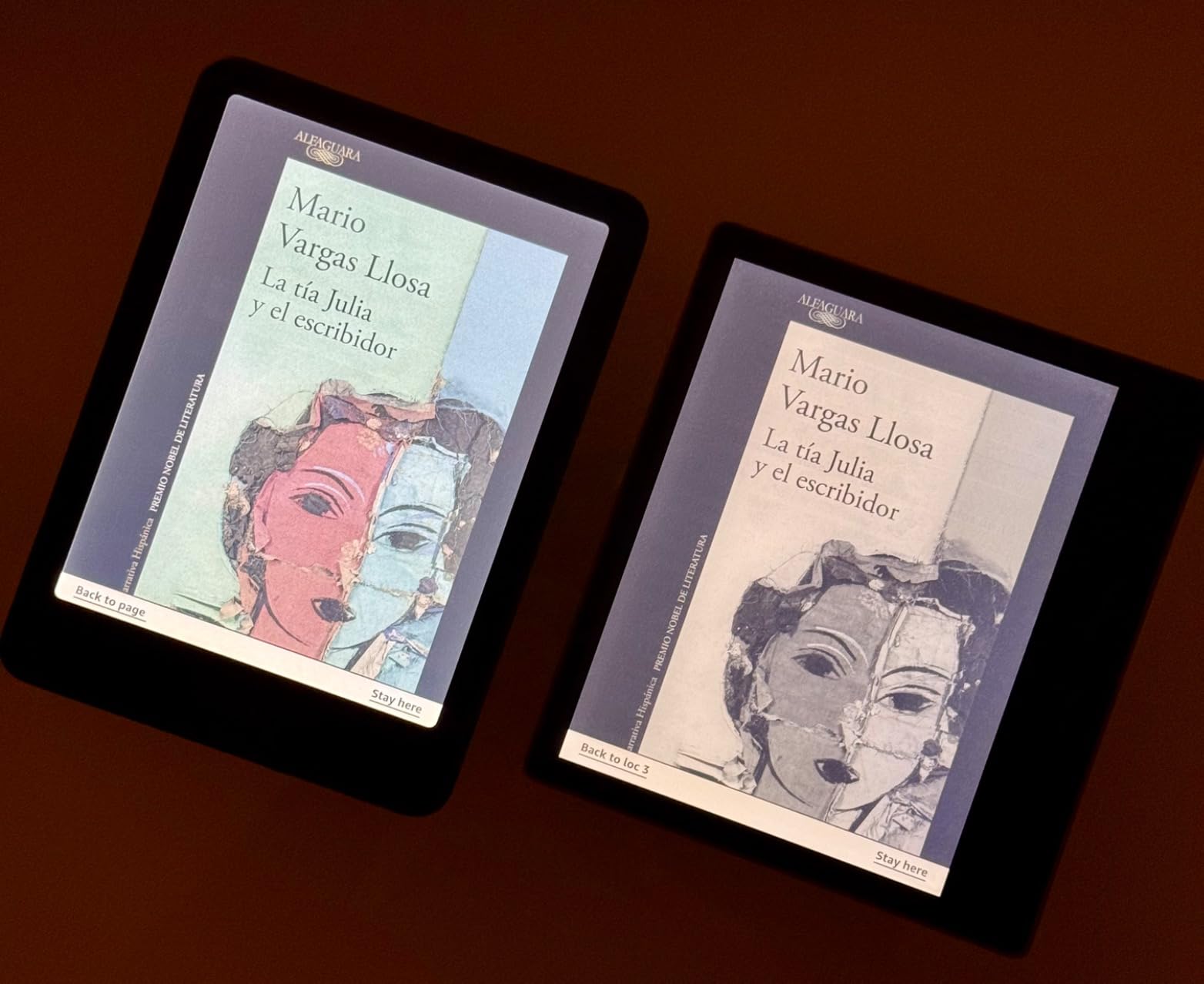 Amazon Kindle Colorsoft Signature Edition 32GB (newest model) – With color display, auto-adjusting front light, wireless charging, and long battery life - Metallic Black customer photo 2