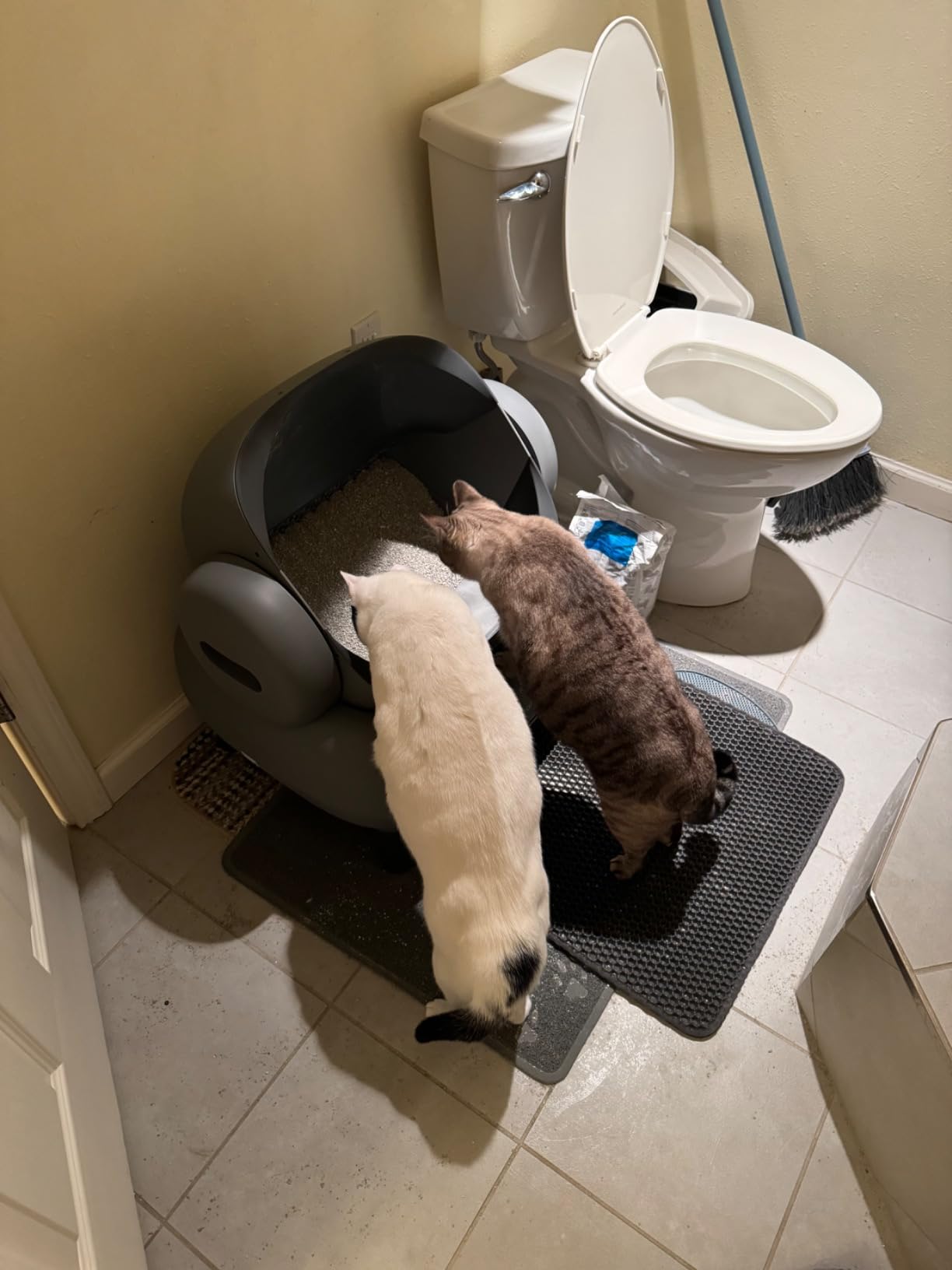 Neakasa M1 Plus Automatic Cat Litter Box with 2-Year Protection Plan customer photo 1