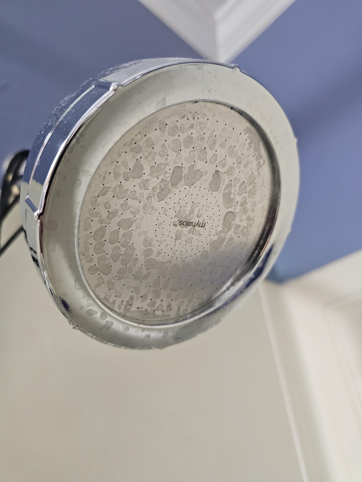 MyHalos® Filtered Shower Head, Shower Head Filter for Hard Water (Chrome) customer photo 1