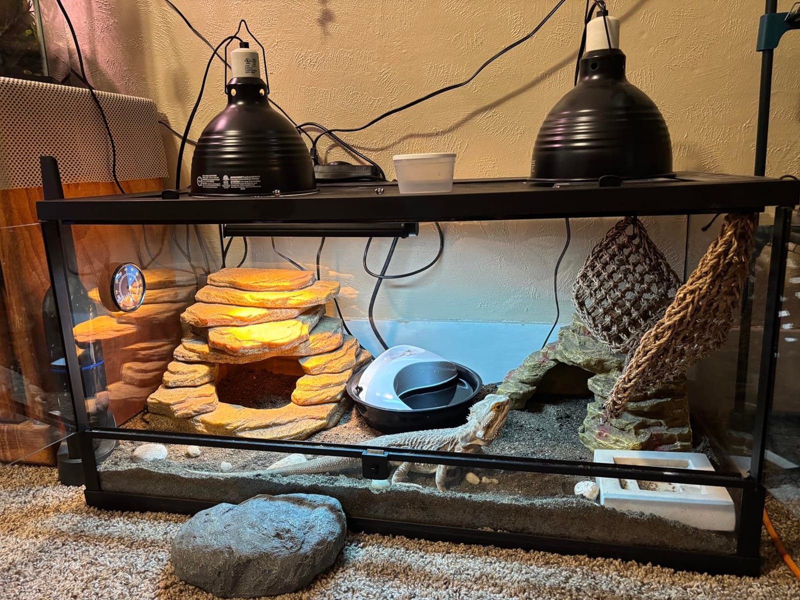 T5 UVB Reptile Light Fixture HO UVB Bulb Lighting Combo Kit, 10.0 UVB Light for Reptiles Terrarium Hood with 39W Reptile Light Bar UVA UVB Desert Lamp for Bearded Dragon Turtle Tank, 34Inch customer photo 1