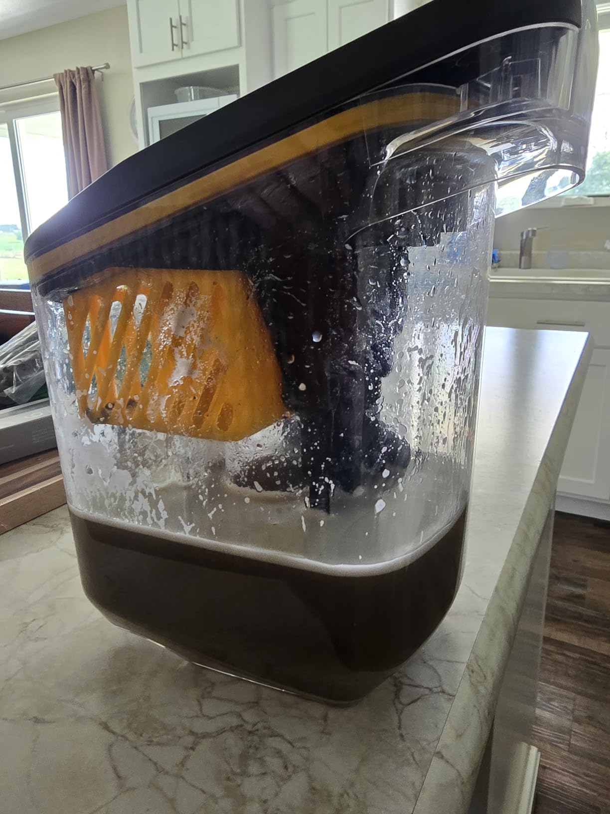 Shark CarpetXpert HairPro Carpet & Built-in Stain Cleaner, 2 Tools EX251BRN customer photo 1