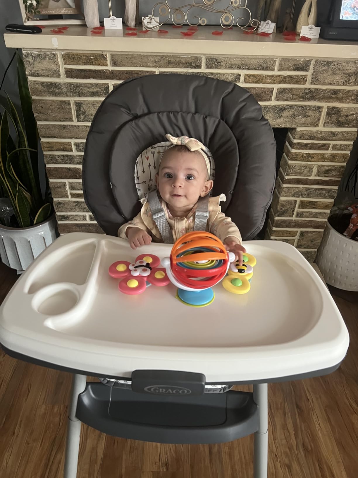 Graco Table2Table LX 6-in-1 Convertible Highchair, Willow customer photo 2