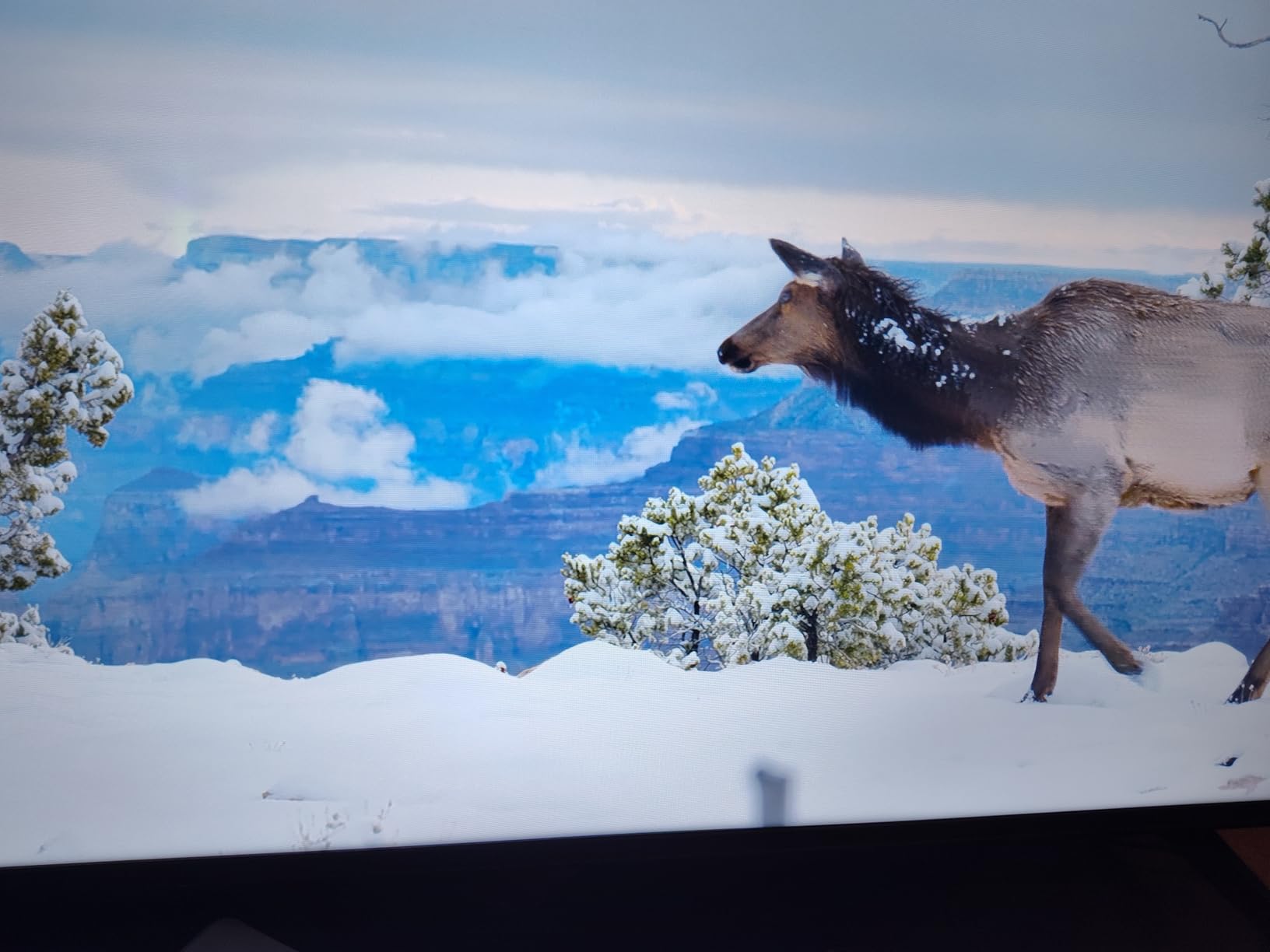 Hisense 40-Inch Class QD4 Series Hi-QLED FHD Smart Fire TV (40QD4QF) - Quantum Dot Color, DTS Virtual: X, Alexa Built in, Slim Bezel Design customer photo 2