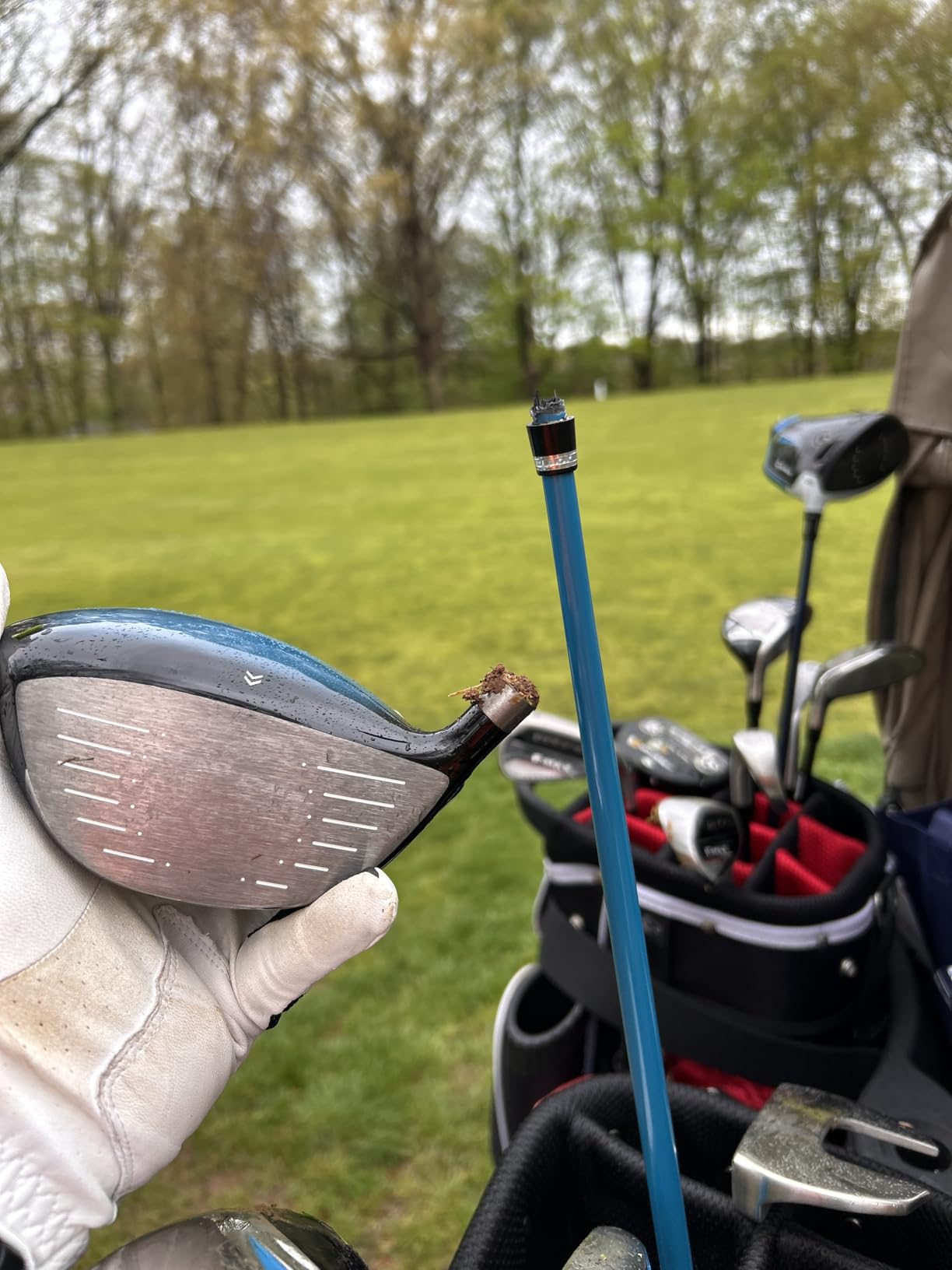 Amazon Basics Golf Club Set with Stand Bag, Oversized Clubface, Low Center of Gravity, Right/Left Handed Options customer photo 2