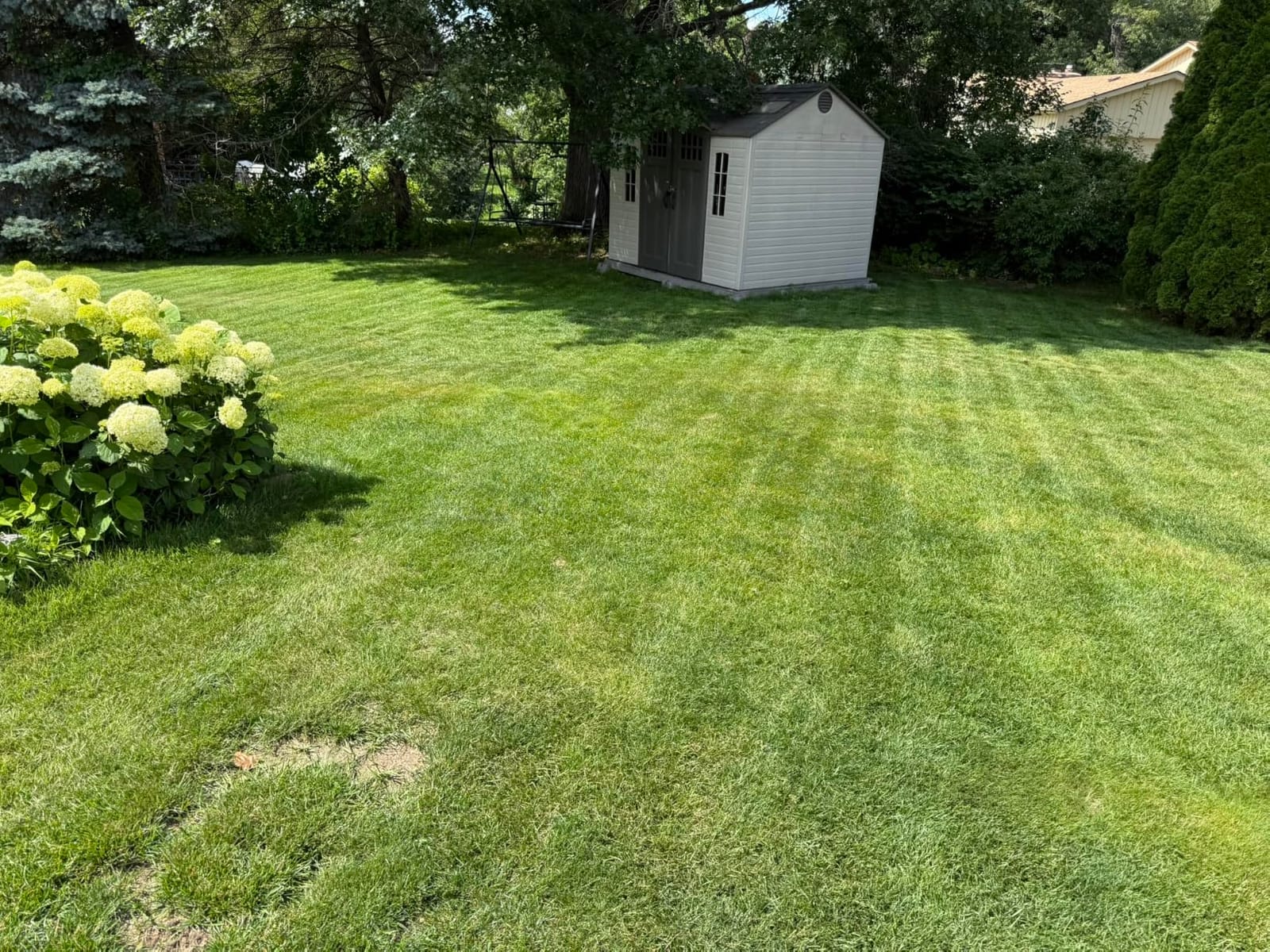 ECOVACS Goat A2000 LiDAR PRO Robot Lawn Mower, Dual LiDAR Navigation customer photo 2