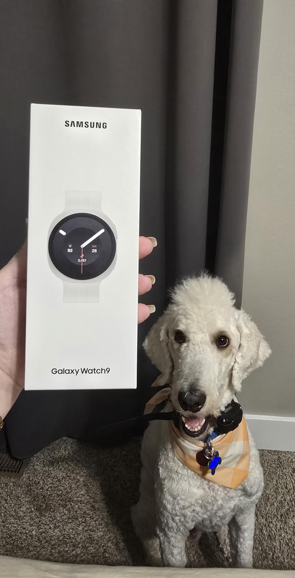 Samsung Galaxy Watch9, Graphite, 40mm Bluetooth Smartwatch customer photo 2