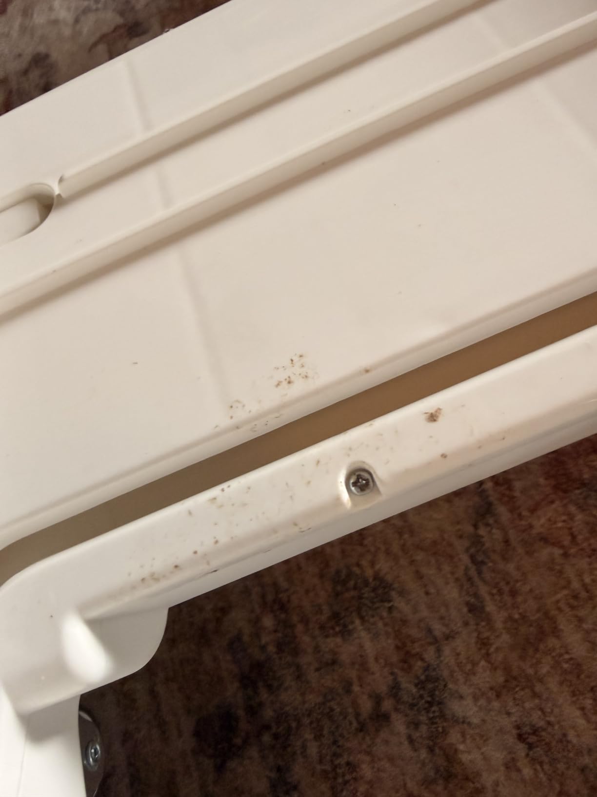 Automatic Cat Litter Box Self Cleaning - App Control, Open-Design, Smart Health Monitor, Suitable for Medium Cats and Kittens, Anti-Pinch Safety, Quiet Operation - White customer photo 2