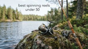 best spinning reels under 50