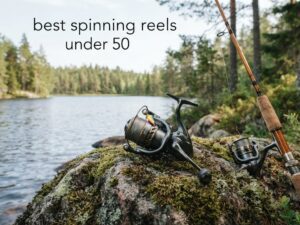 best spinning reels under 50